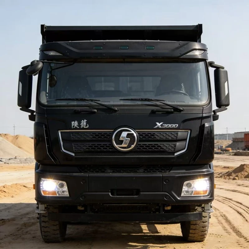 Camion à benne basculante automobile du Shaanxi